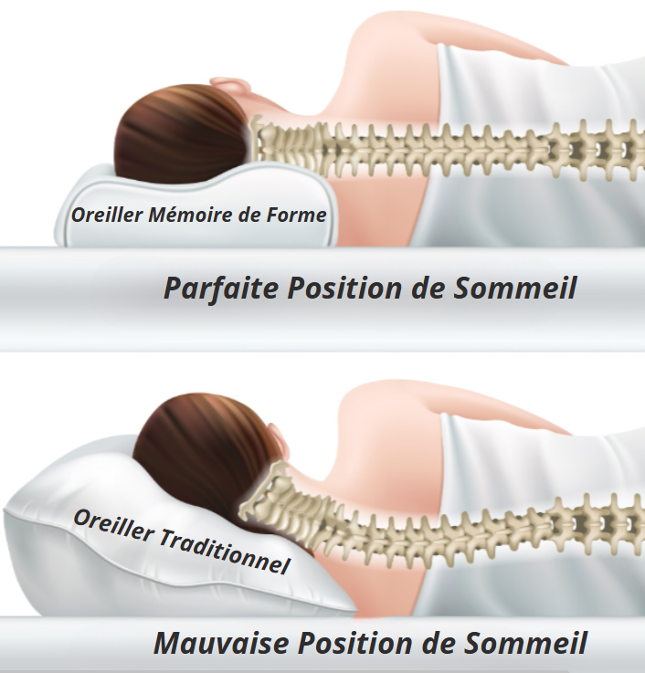 Oreiller Ergonomique Fibre De Bambou à Mémoire de Forme - Soutien Nuque