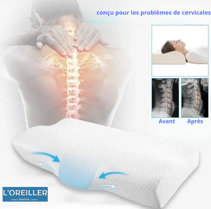 Oreiller Soutien Cervical Ergonomique - Mémoire de Forme - Soulage Cervicales