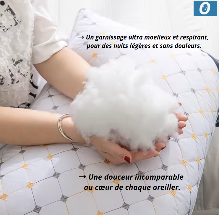 Oreiller Ergonomique Cervical - Soutien Réparateur