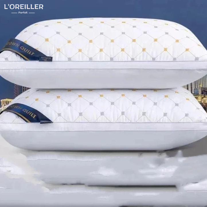 Oreiller Ergonomique Cervical - Soutien Réparateur