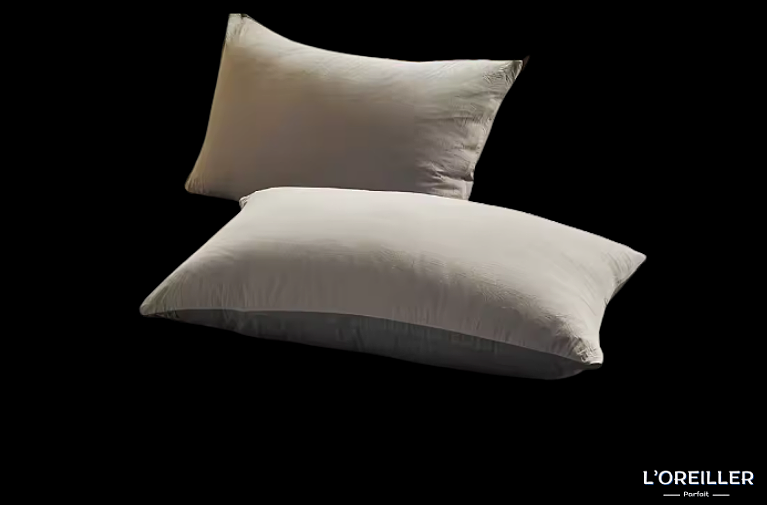 Taies d'Oreiller en Coton (2 Pièces)