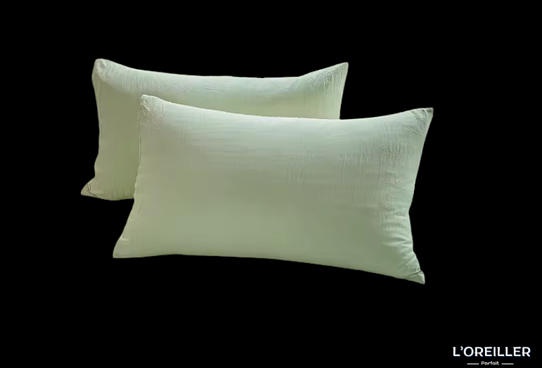Taies d'Oreiller en Coton (2 Pièces)