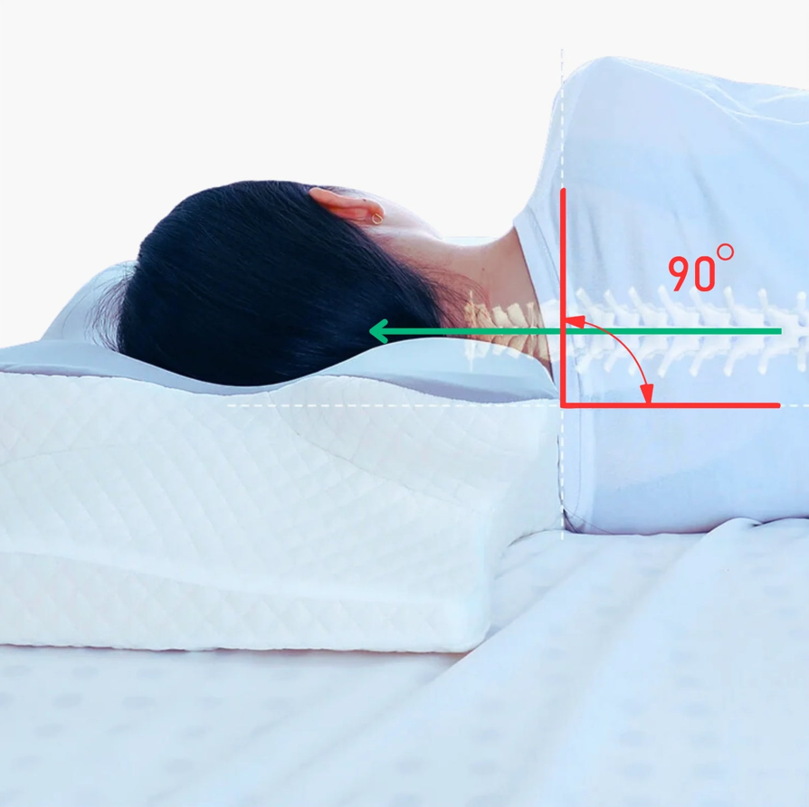 Oreiller  Ergonomique Cervical Mémoire de forme - Stop aux Douleurs Cervicales